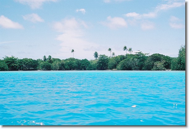 Click for the original image