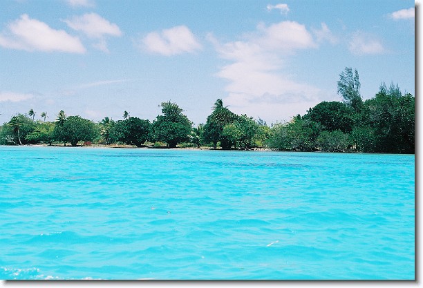 Click for the original image