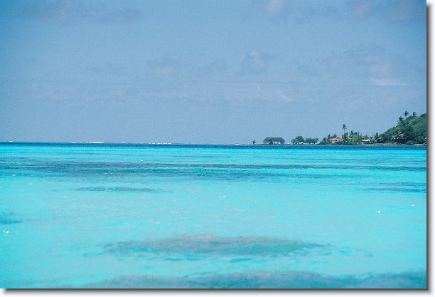 Click for the original image