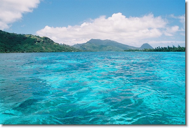 Click for the original image