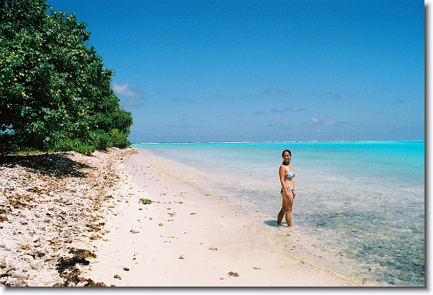 Click for the original image