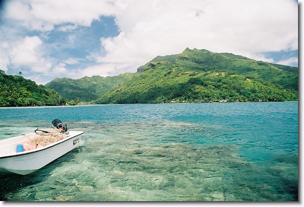 Click for the original image