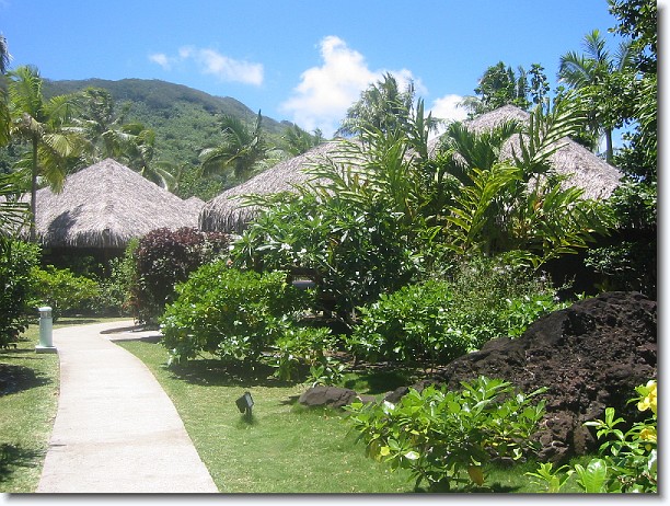 Click for the original image