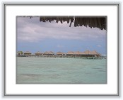 IMG_1245 * 1600 x 1200 * (697KB)