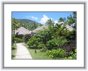 IMG_1270 * 1600 x 1200 * (1.32MB)