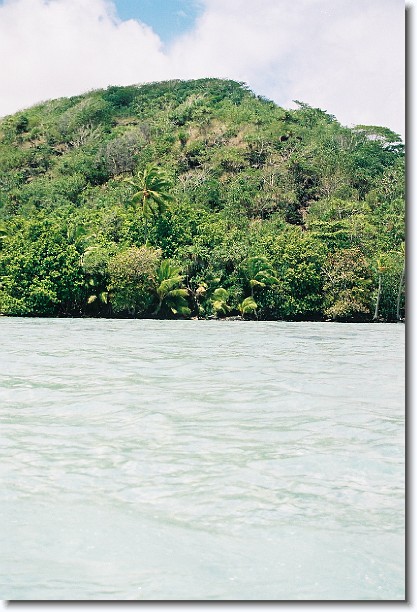 Click for the original image