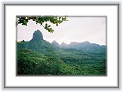 8300786-R1-005-1 * 1818 x 1228 * (970KB)