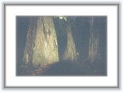 8300786-R1-009-3 * 1818 x 1228 * (1.34MB)