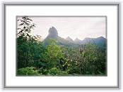 8300786-R1-011-4 * 1818 x 1228 * (1.15MB)
