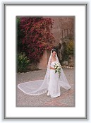 03179140002003 * 2803 x 4247 * (2.64MB)