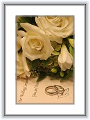 IMG_0072 * 3504 x 2336 * (381KB)