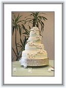 IMG_0059 * 2336 x 3504 * (561KB)